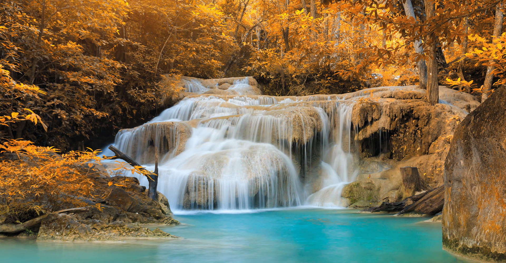 Immagine di una cascata in mezzo al bosco.